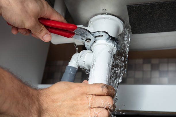 Best Water damage cleanup near me  in Saluda, SC