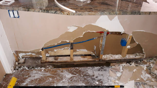 Best Sewage cleanup and water damage restoration  in Saluda, SC