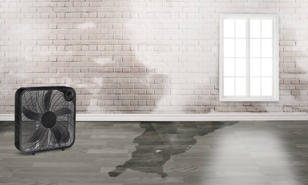 Local water damage restoration in SC