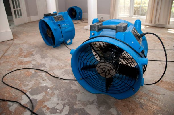 Best Carpet water damage restoration  in Saluda, SC