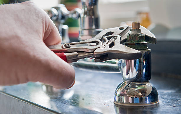 Best Mold removal after water damage  in Saluda, SC