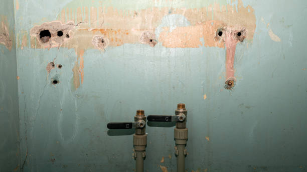 Best Commercial water damage restoration  in Saluda, SC