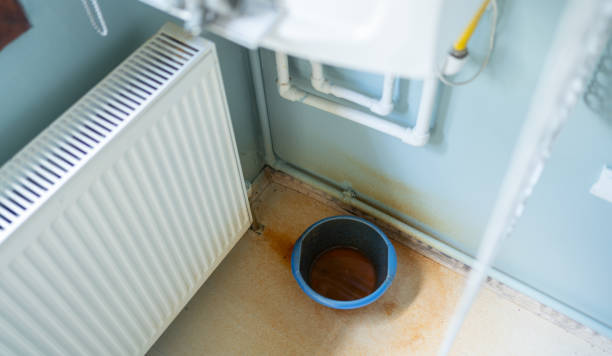 Water damage restoration mold remediation in SC