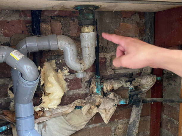 Best Water damage contractors near me  in Saluda, SC