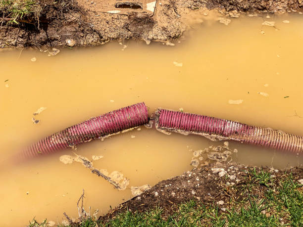 Best Emergency water damage restoration  in Saluda, SC