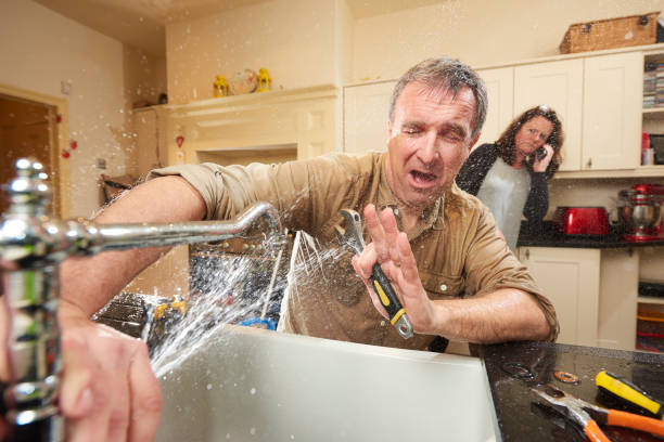 Best Local water damage restoration  in Saluda, SC